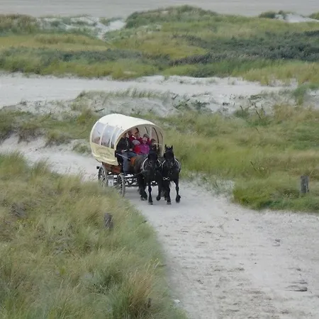 Dana Comfortable Holiday Borkum